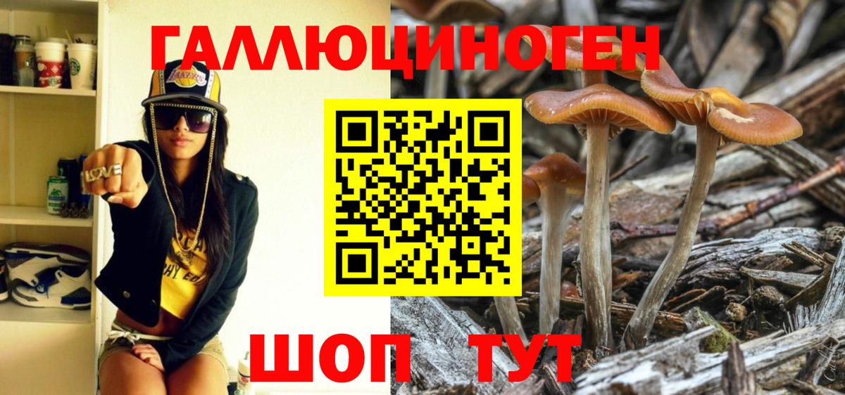 Псилоцибиновые грибы мицелий Амурск
