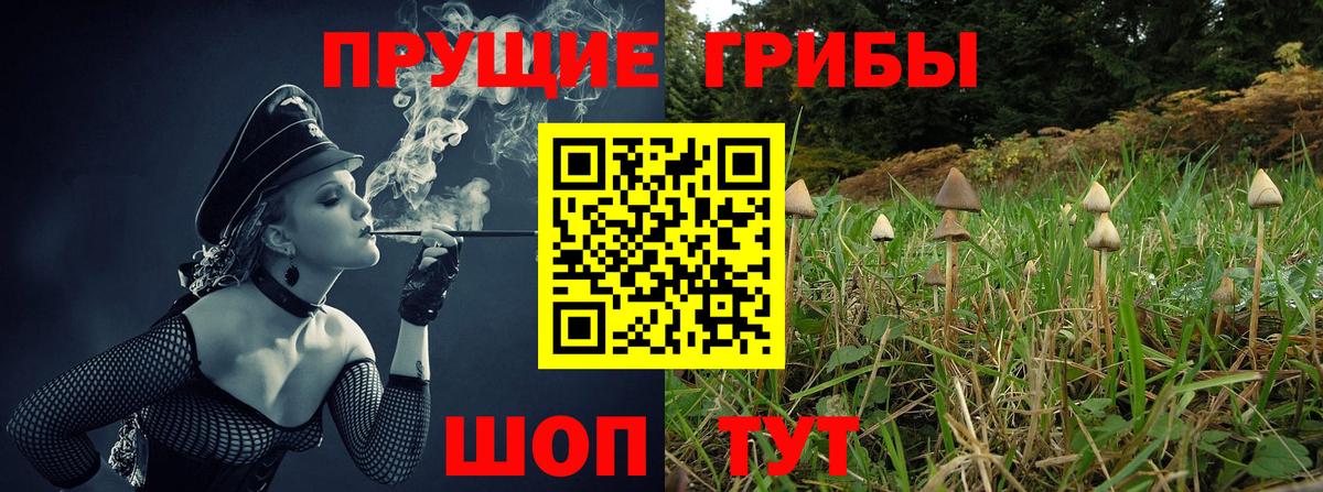 Галлюциногенные грибы Cubensis  Галлюциногенные грибы Magic Shrooms  Вход с VPN  Амурск 